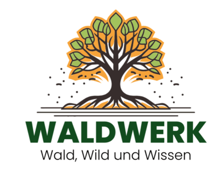 Arbeitsgemeinschaften 8 Wald 2